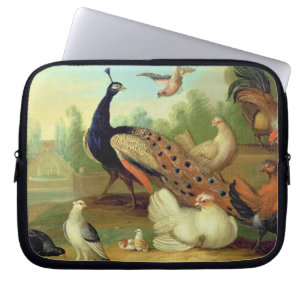 Ein Pfau, Tauben, Hühner und ein Jay in einem Par Laptopschutzhülle
