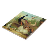 Ein Pfau, Tauben, Hühner und ein Jay in einem Park Fliese (Seite)