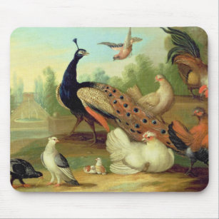 Ein Pfau, Tauben, Hühner und ein Jay in einem Park Mousepad