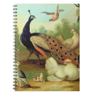 Ein Pfau, Tauben, Hühner und ein Jay in einem Park Notizblock