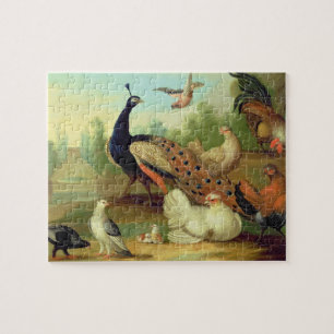 Ein Pfau, Tauben, Hühner und ein Jay in einem Park Puzzle