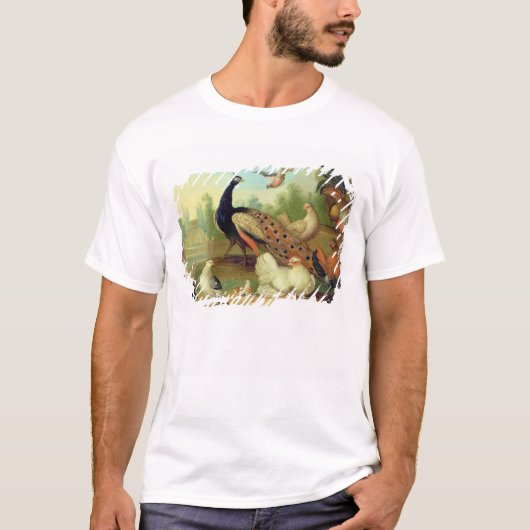 Ein Pfau, Tauben, Hühner und ein Jay in einem Park T-Shirt (Vorderseite)