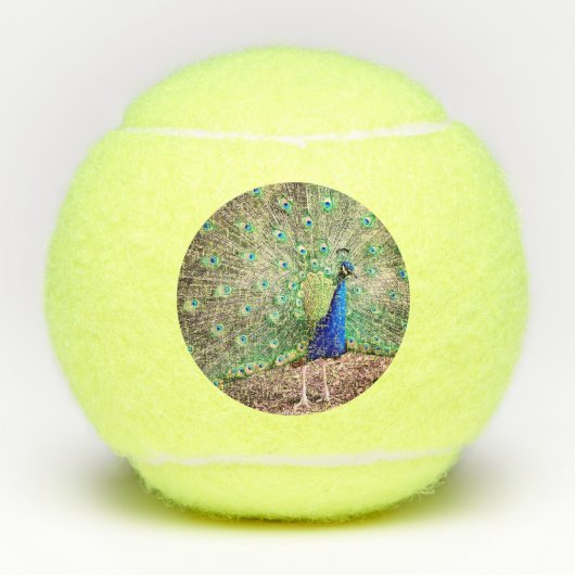 Ein Pfau Tennisbälle (Vorderseite)