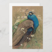 Ein Pfau und Marguerites | Edwin John Alexander (Vorne/Hinten)