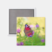 Ein Pfauenschmetterling in leuchtenden Farben Magnet (Vorderseite/Rückseite)
