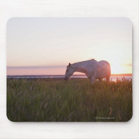Ein Pferd auf dem Feld Mousepad (Vorne)
