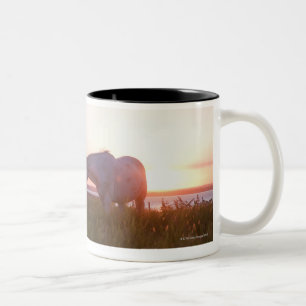 Ein Pferd auf einem Gebiet Zweifarbige Tasse