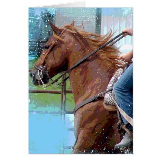 Ein Pferd beim Stangenbiegen (Vorne)