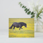 Ein Pferd, das auf einem Feld gelber Blumen spazie Postkarte (Stehend Vorderseite)