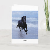 Ein Pferd frei und wild Karte (Rückseite)