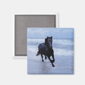 Ein Pferd frei und wild Magnet (Vorderseite/Rückseite)