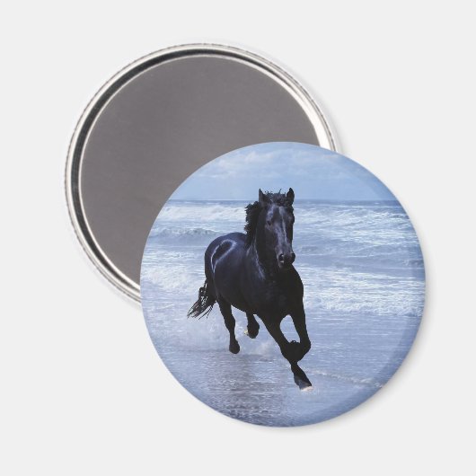 Ein Pferd frei und wild Magnet (Vorderseite/Rückseite)