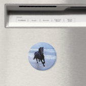 Ein Pferd frei und wild Magnet (In Situ (Geschirrspüler))