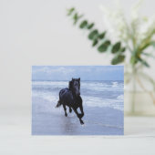 Ein Pferd frei und wild Postkarte (Stehend Vorderseite)