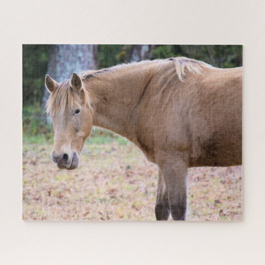 Ein Pferd ist ein Pferd - 16 x 20 Zoll Puzzle (Horizontal)