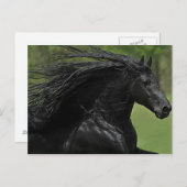 Ein Pferd ist ein Pferd #1" Postkarte (Vorne/Hinten)