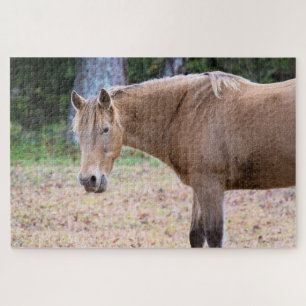 Ein Pferd ist ein Pferd - 20x30 Zoll Puzzle