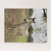 Ein Pferd nahe einer Weide Puzzle (Horizontal)