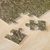 Ein Pferd nahe einer Weide Puzzle (Seite)