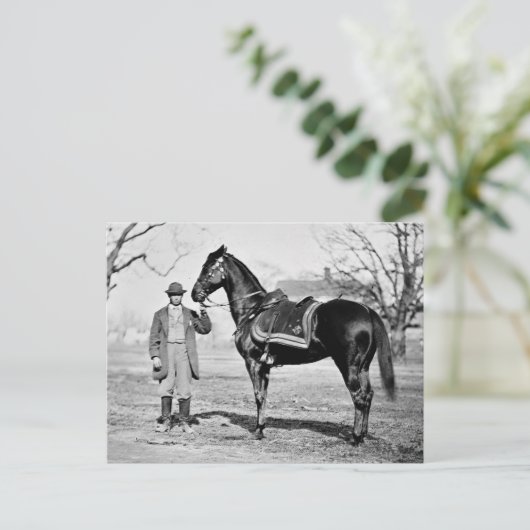 Ein Pferd namens Cincinnati, 1865 Postkarte (Stehend Vorderseite)