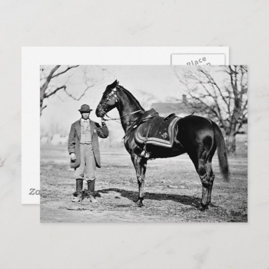 Ein Pferd namens Cincinnati, 1865 Postkarte (Vorne/Hinten)