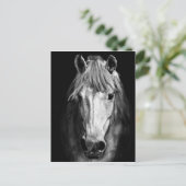 Ein Pferd namens Elvis Postkarte (Stehend Vorderseite)