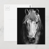Ein Pferd namens Elvis Postkarte (Vorne/Hinten)