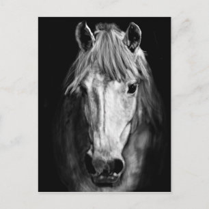 Ein Pferd namens Elvis Postkarte
