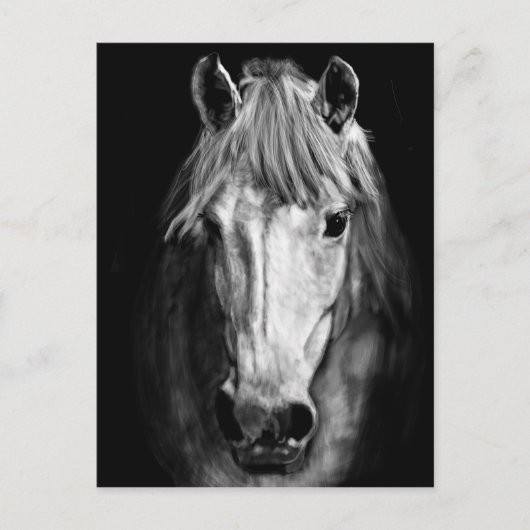 Ein Pferd namens Elvis Postkarte (Vorderseite)