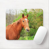Ein Pferd namens Orion Mousepad (Mit Mouse)