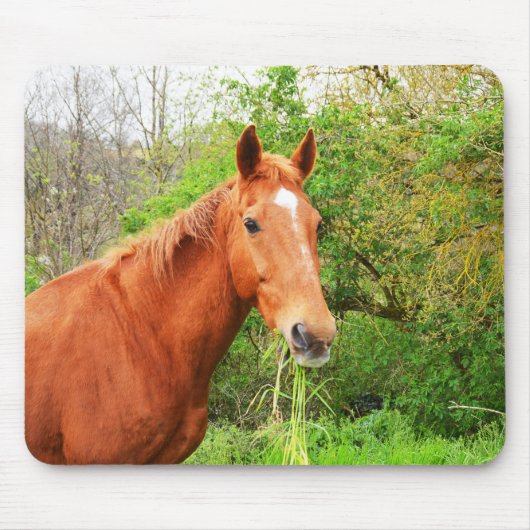 Ein Pferd namens Orion Mousepad (Vorne)