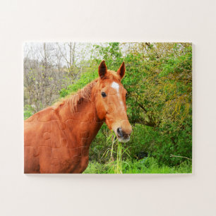Ein Pferd namens Orion Puzzle