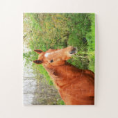 Ein Pferd namens Orion Puzzle (Vertikal)