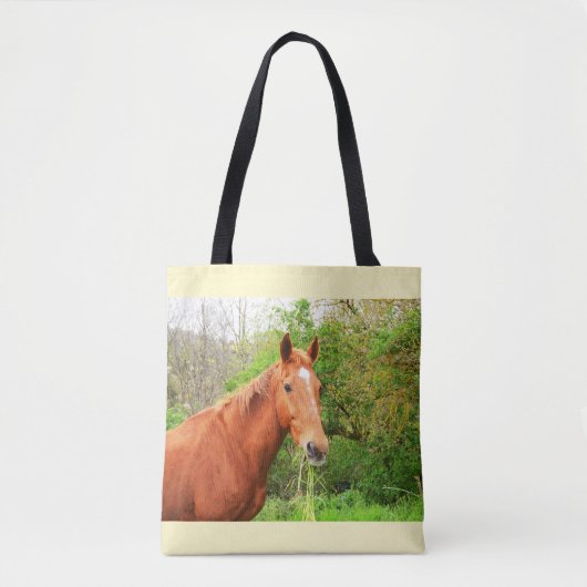Ein Pferd namens Orion Tasche (Vorderseite)