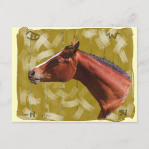 Ein Pferd, natürlich... Postkarte. Postkarte