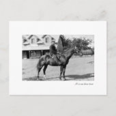 ein Pferd Postkarte (Vorderseite)