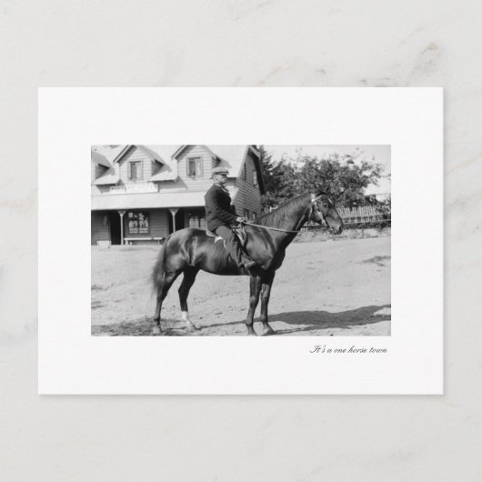 ein Pferd Postkarte (Vorderseite)