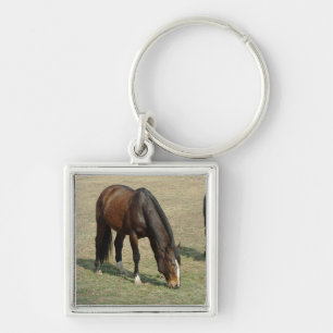 Ein Pferd - Schlüsselanhänger