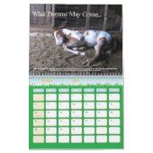 Ein Pferd tragen auf einmal ein Kalender (Mär 2027)