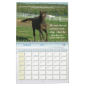 Ein Pferd tragen auf einmal ein Kalender (Feb 2027)