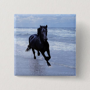 Ein Pferd wild und frei Button