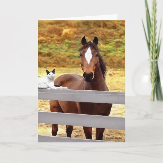 "Ein Pferde-u. ihre Katzen-" Gruß-Karte Karte (Vorderseite)