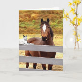 "Ein Pferde-u. ihre Katzen-" Gruß-Karte Karte (Gelbe Blume)