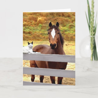 "Ein Pferde-u. ihre Katzen-" Gruß-Karte Karte