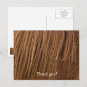 Ein Pferdemane Postkarte (Vorne/Hinten)