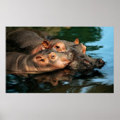 Ein Pflegeportrait einer Mutter mit Hippopotamus Poster (Vorne)