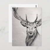 Ein phantastischer Bleistift, der von einer schöne Postkarte (Vorne/Hinten)