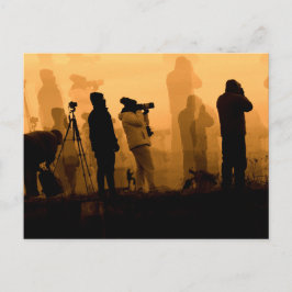 Ein Phantastischer Sonnenuntergang - Gänse bei Son Postkarte