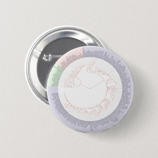 Ein phylogenetischer Baum Button (Vorne & Hinten)