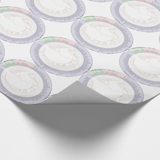 Ein phylogenetischer Baum Geschenkpapier (Ecke)